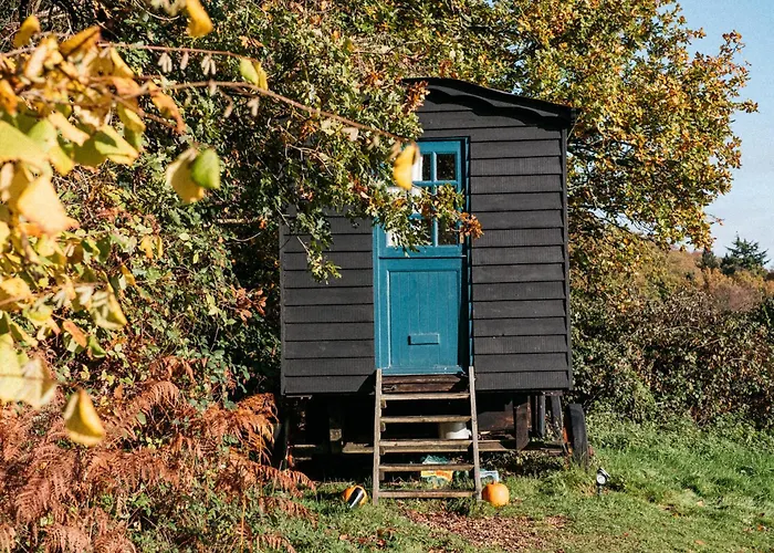 Beautiful, Secluded Shepherd\'S Hut In The National Park
