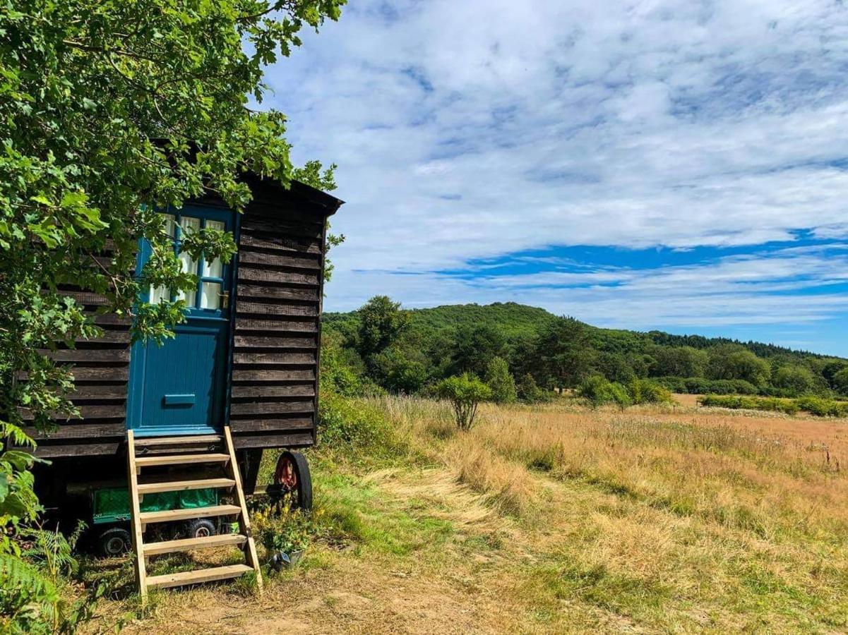 Beautiful, Secluded Shepherd's Hut In The National Park * Rake