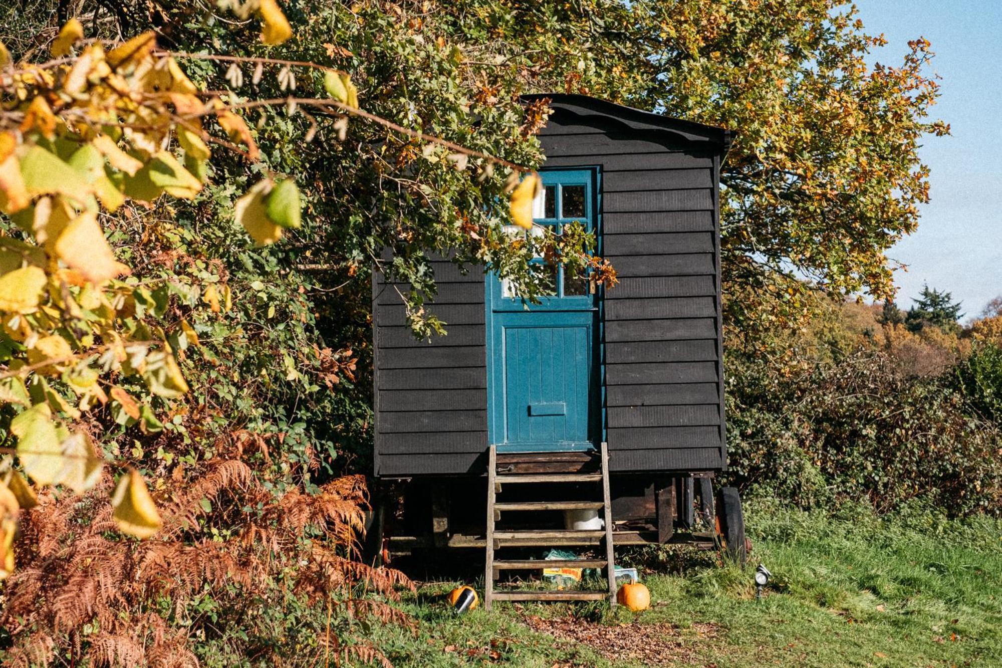 Campsite Beautiful, Secluded Shepherd's Hut In The National Park Rake