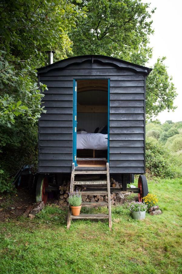 Beautiful, Secluded Shepherd's Hut In The National Park Rake